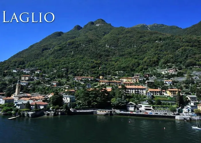 Willa - Happy Laglio